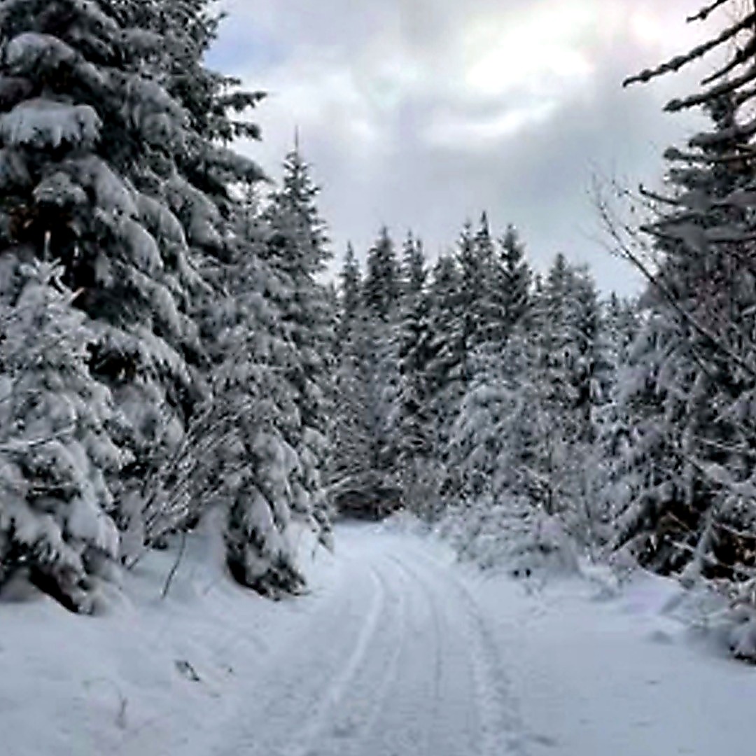 winter road