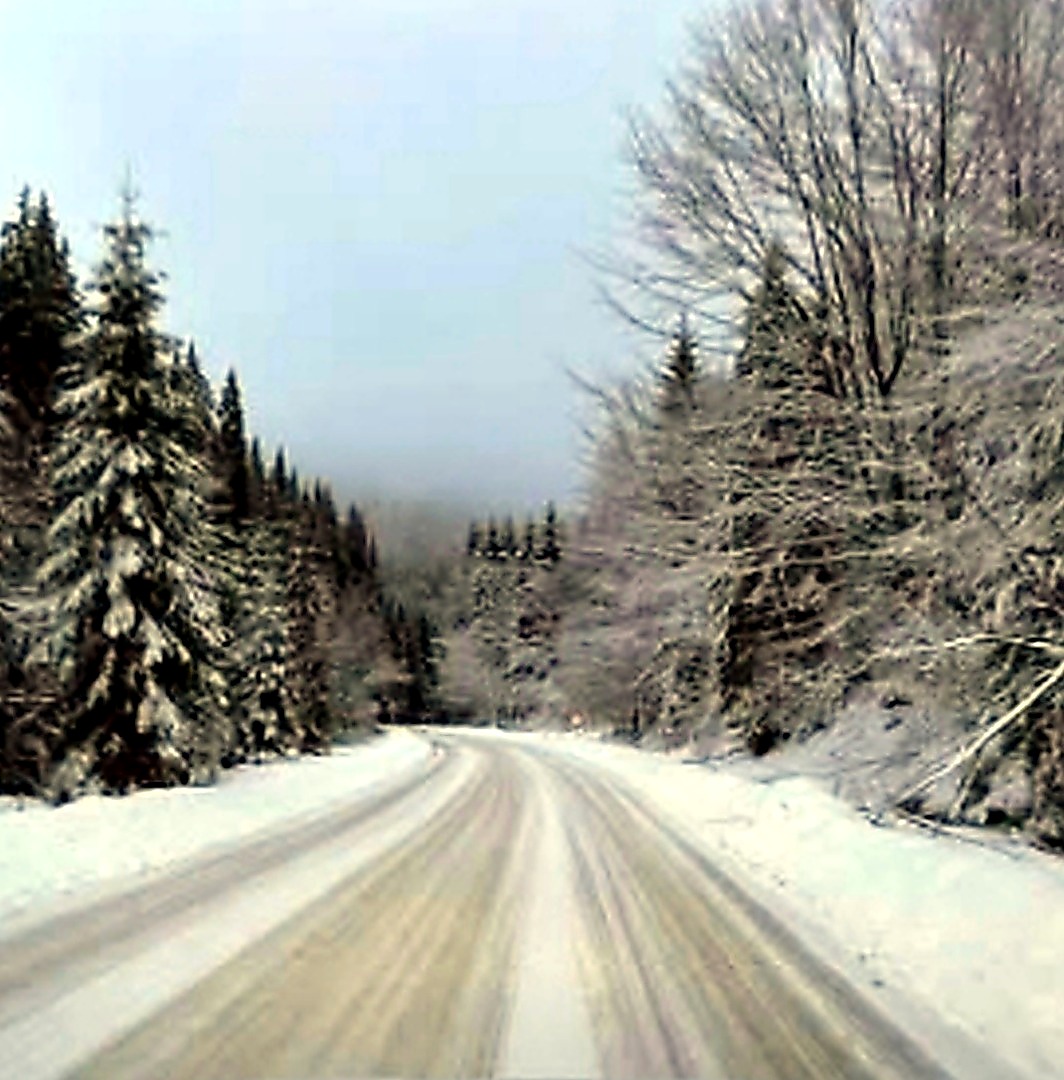 frosty road