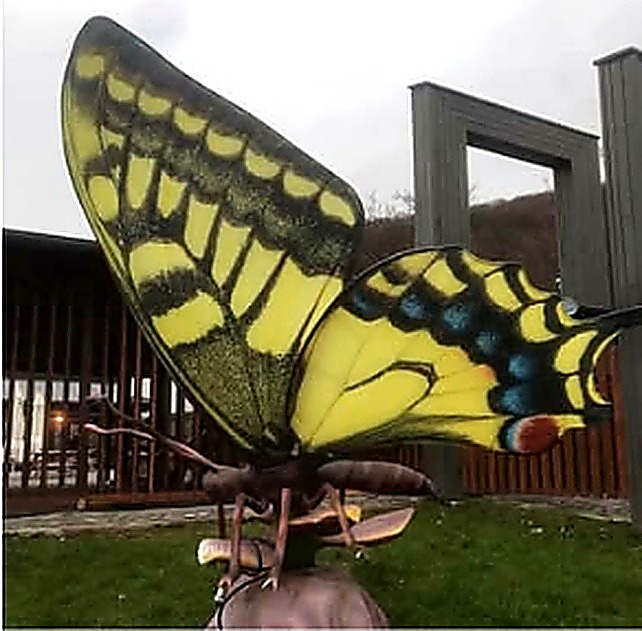 butterfly sculpture