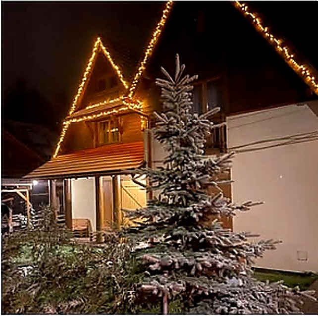 house fairy lights